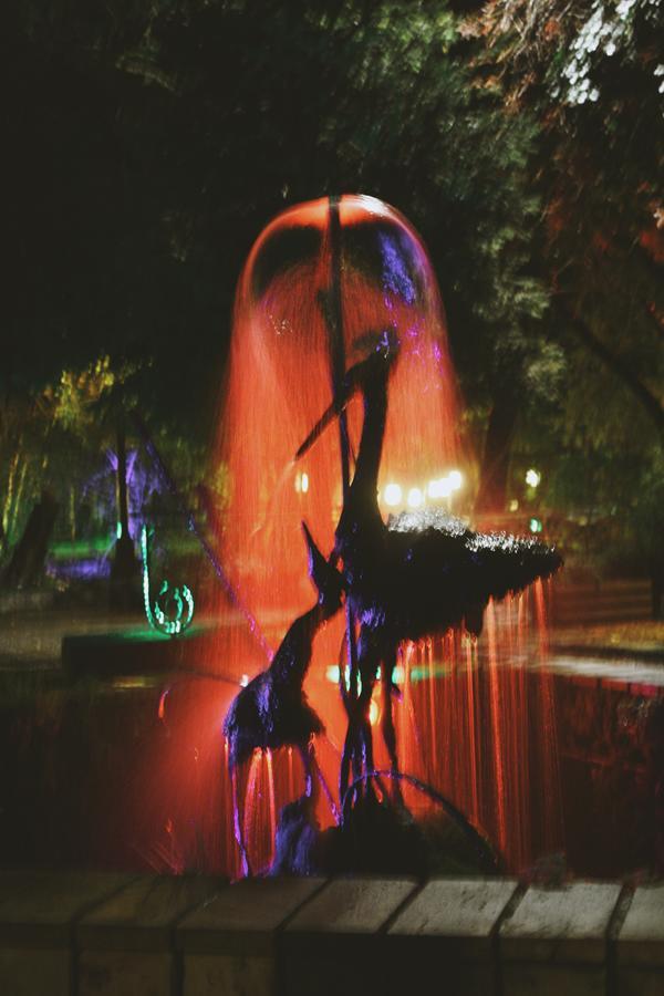 Hotel Legjenda Shkodër エクステリア 写真
